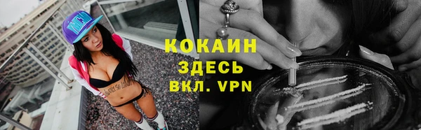 индика Бородино