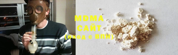 индика Бородино