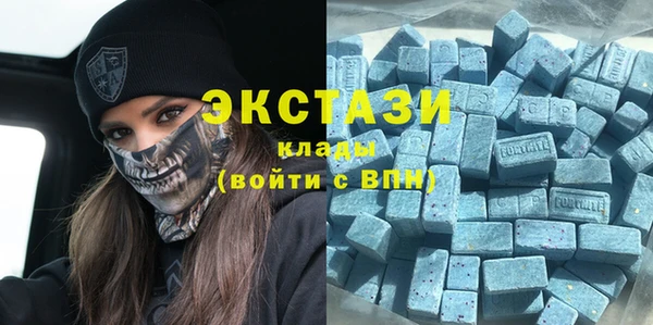 индика Бородино