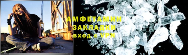 индика Бородино